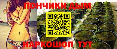 PSILOCYBIN Обнинск