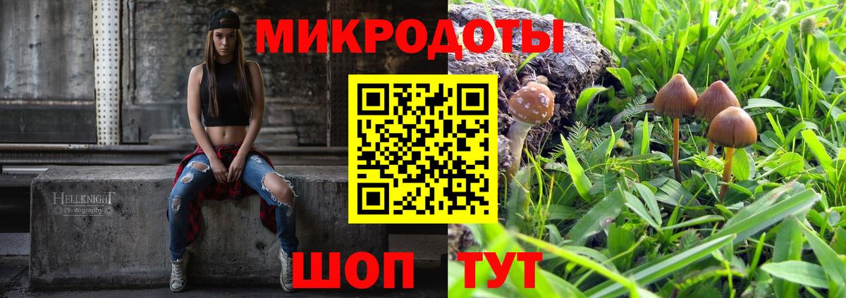 Озёры  Галлюциногенные грибы прущие грибы  Вход с VPN 
